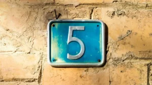 el número 5